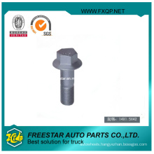 Steel Hex Head Bolt Screw with Flange